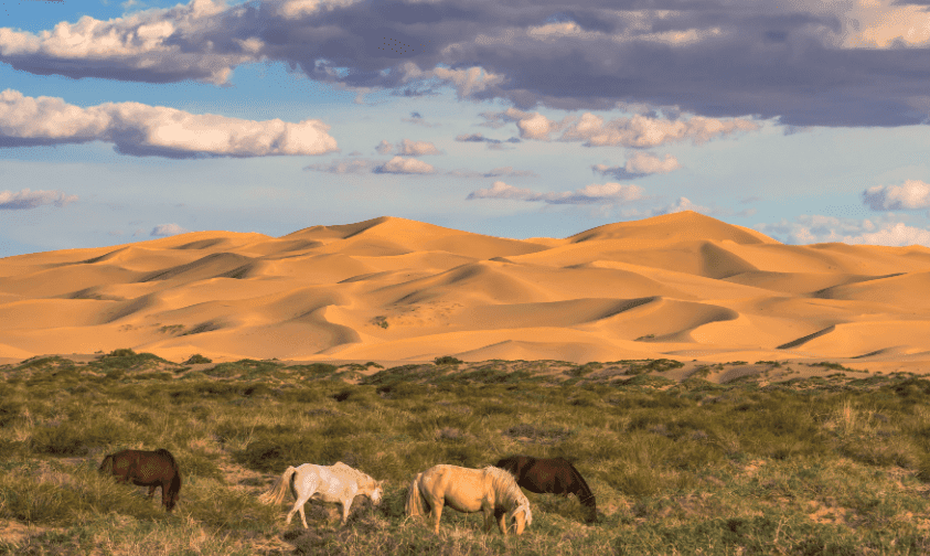 Gobi Desert travel guide - Khongoryn Els Sand Dunes