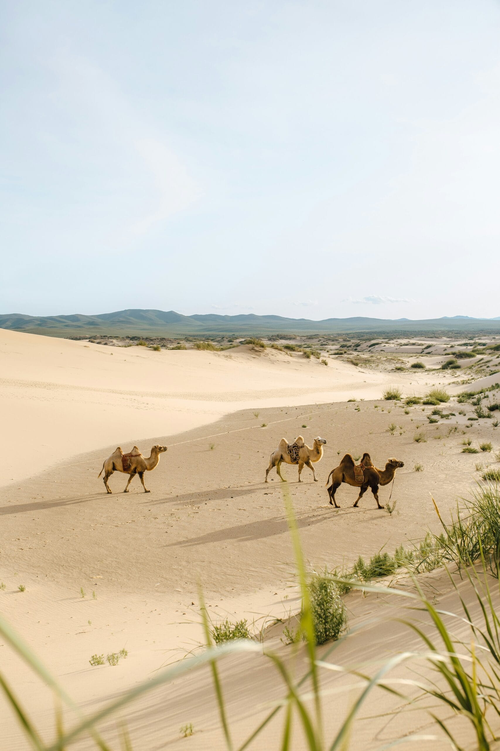 Gobi Desert